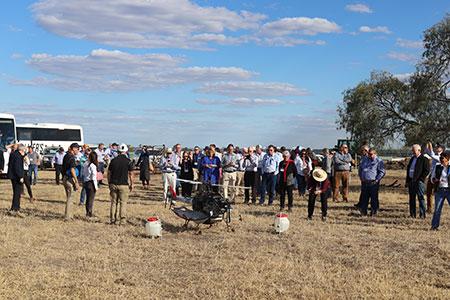 Bush councils 19 drones